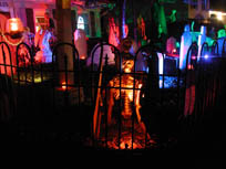 front yard 1