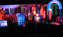 front yard 2